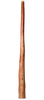 Wix Stix Opal Didgeridoo (WS344)